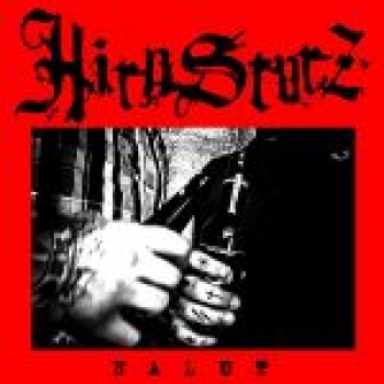 HIRNSTURZ - SALUT