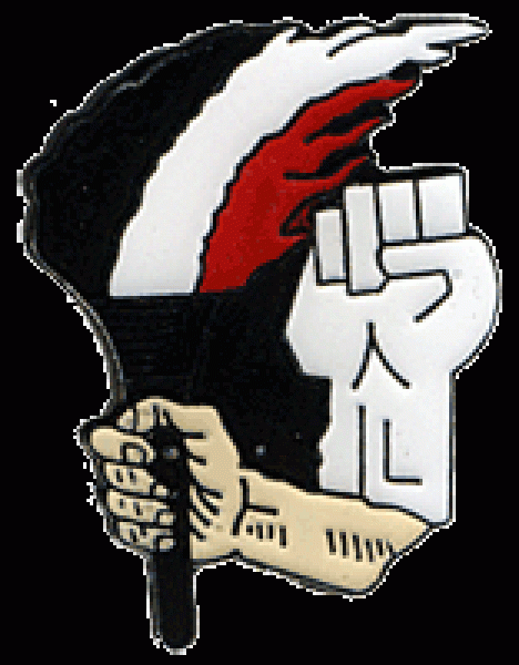 - Pin s/w/r Fackel mit WP-​Faust