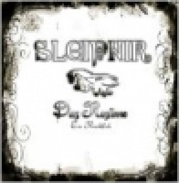 Sleipnir-Das Resümee