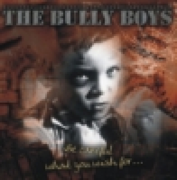 Bully Boys -Be careful what you wish for